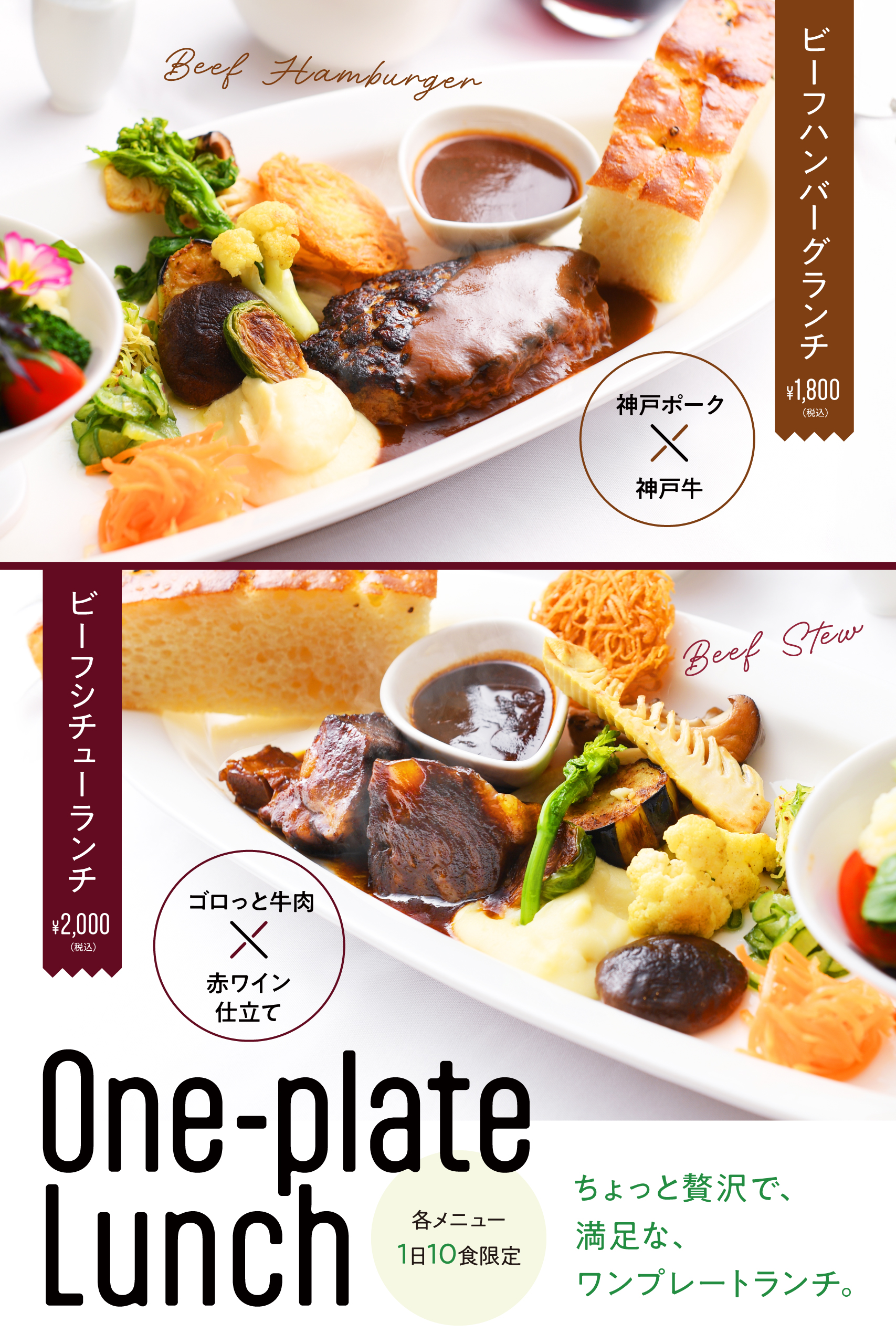 oneplate_lunch